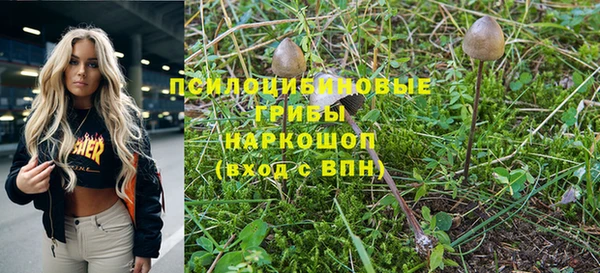 шишки Карталы