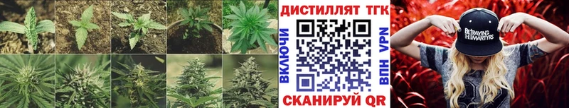 Дистиллят ТГК THC oil  Купить закладки  Чердынь 