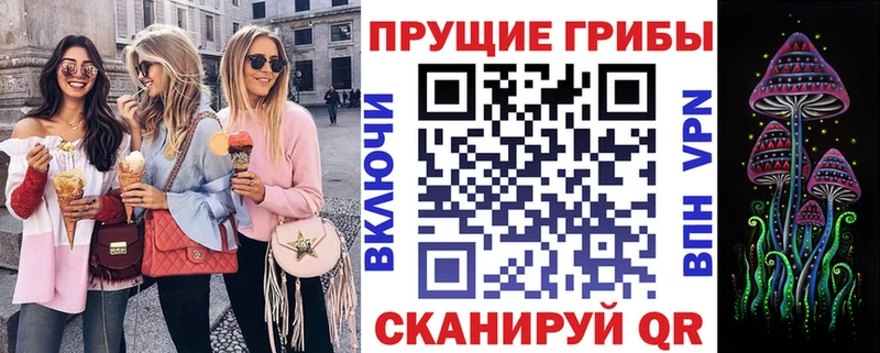 Псилоцибиновые грибы мухоморы  Купить где  Чердынь 
